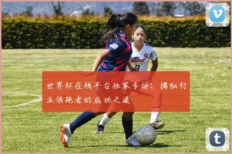 世界杯在线平台独家专访：揭秘行业领跑者的成功之道