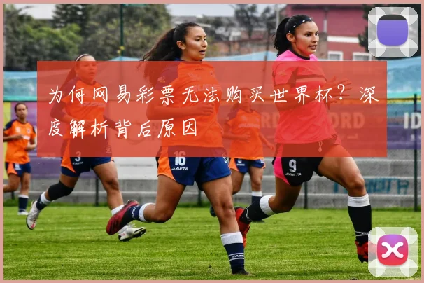 为何网易彩票无法购买世界杯？深度解析背后原因