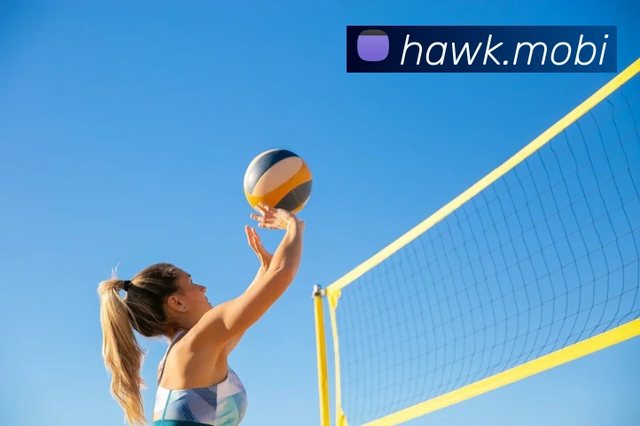 开云app网站APP 高清赛事图